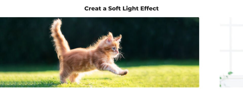 K&F CONCEPT 82mm White Pro Mist 1/4 Nano-C Hmc Sinematik Filtre Uyumlu